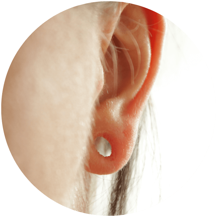 Modèle anatomique de l'oreille, agrandie 3 fois, en 4 parties, peau